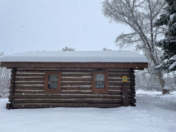 Cabin 8 in the snow