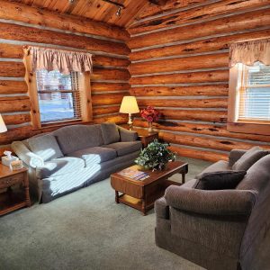 Cabin 9 Living Room