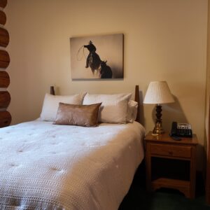 Commons Apartment Room 1, Queen Bed